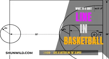 The Art of Shot-Making: Understanding the 'Shot Line' in Basketball