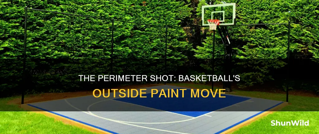 what is a shot made outside the paint in basketball