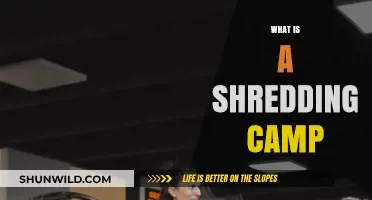 Unveiling Shredding Camps: Intense Fitness Retreats for Rapid Results