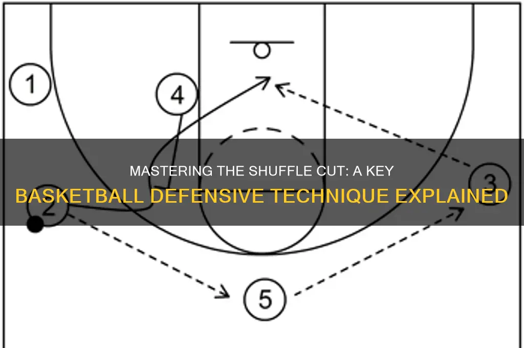 what is a shuffle cut in basketball
