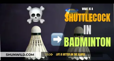 The Shuttlecock: Badminton's Unique Feathered Friend