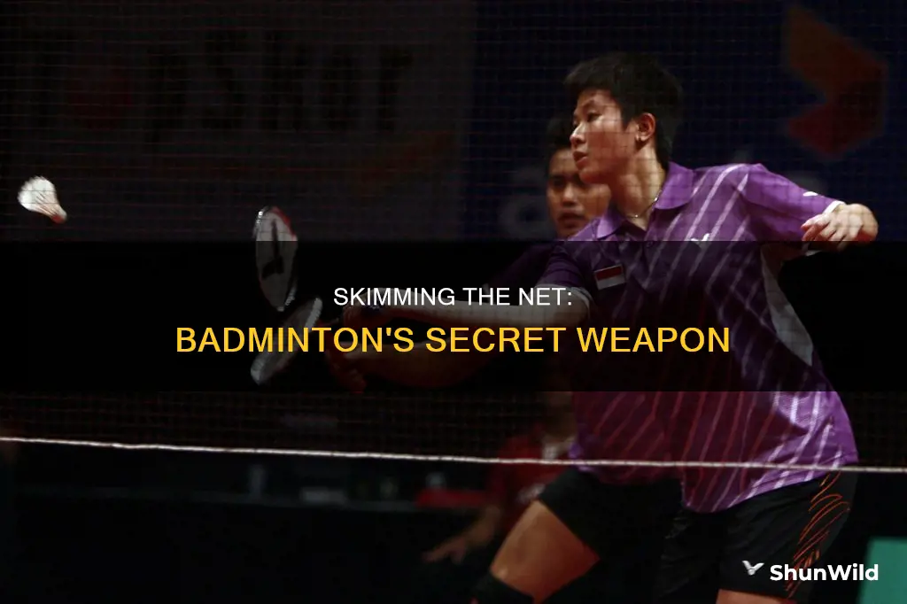 what is a skim close to net in badminton called