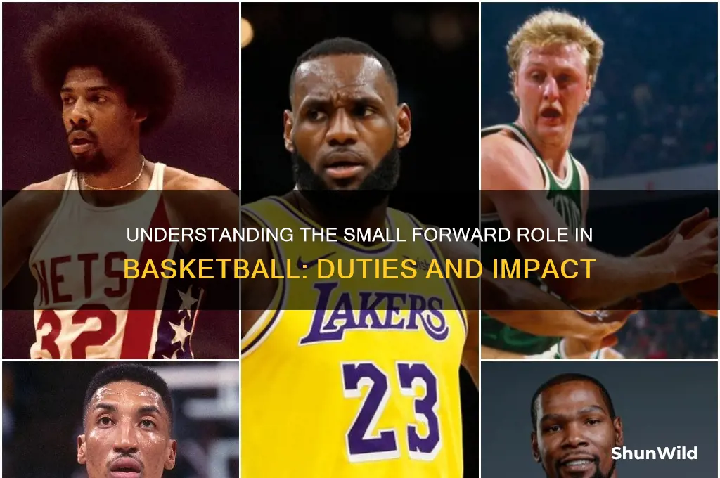 what is a small forward job in basketball