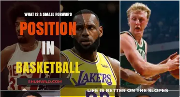 Understanding the Small Forward Role in Basketball: Skills & Responsibilities