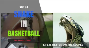 Understanding the Snake Defense in Basketball: Tactics and Effectiveness