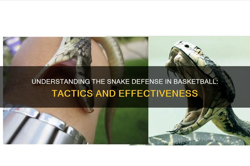 what is a snake in basketball