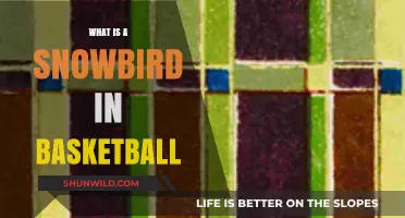 Understanding the Snowbird Role in Basketball: A Comprehensive Guide