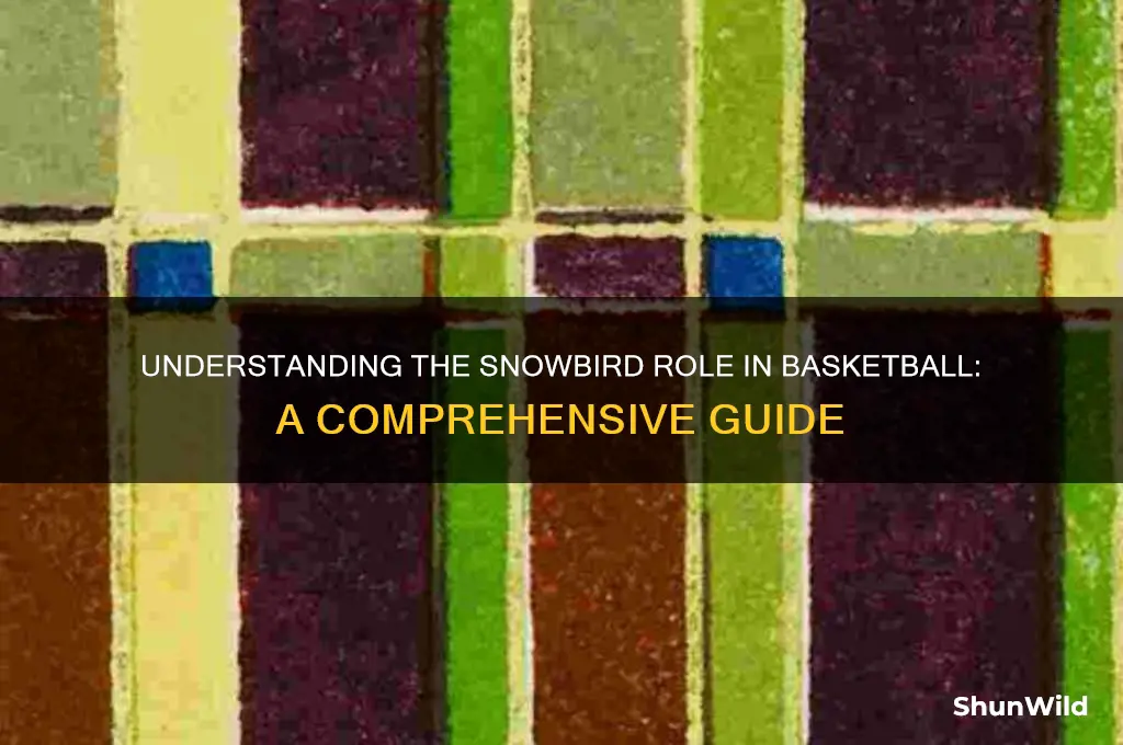 what is a snowbird in basketball
