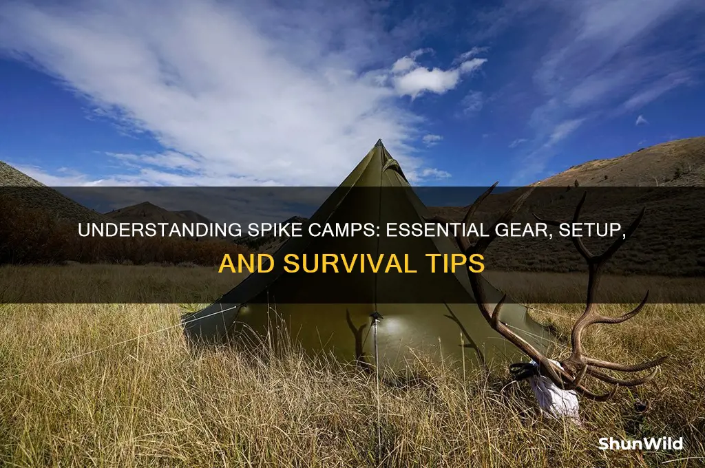 what is a spike camp