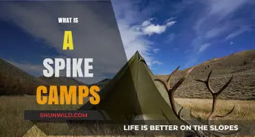 Understanding Spike Camps: Purpose, Benefits, and How They Work
