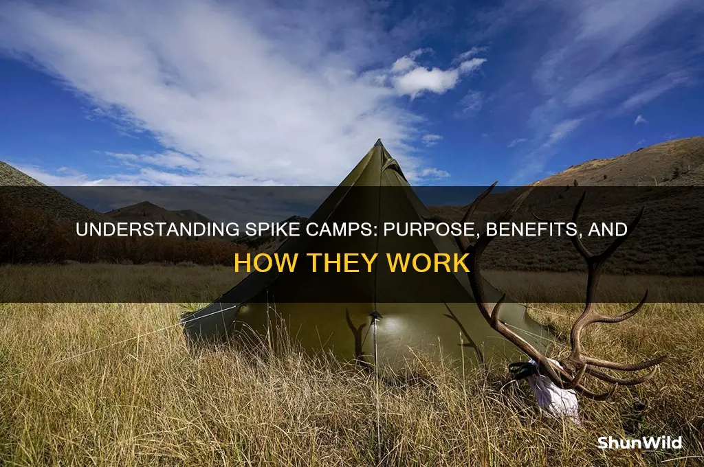 what is a spike camps