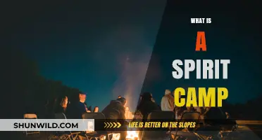 Exploring Spirit Camp: A Journey into Spiritual Retreats and Healing