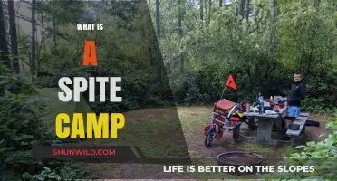 Understanding Spite Camps: Origins, Impact, and Modern-Day Examples
