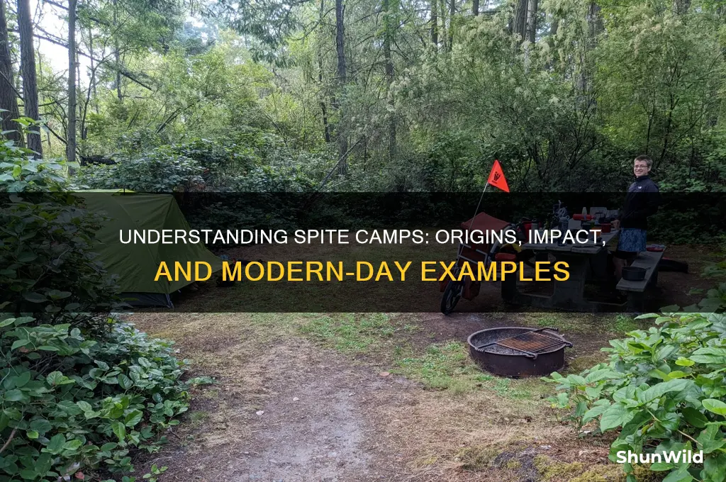 what is a spite camp