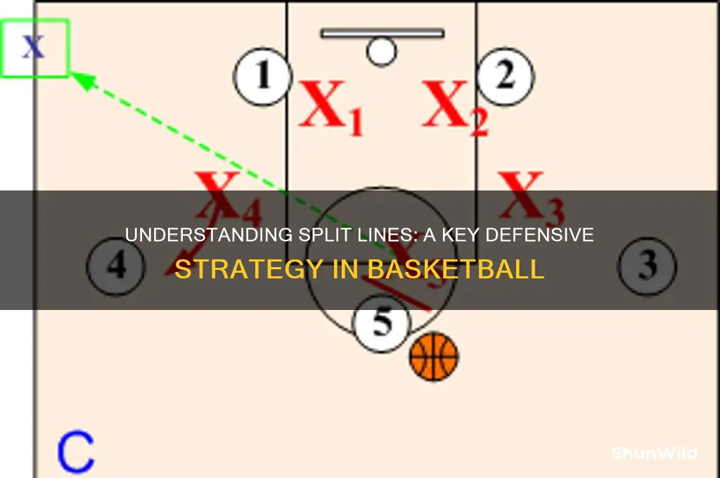 what is a split line in basketball