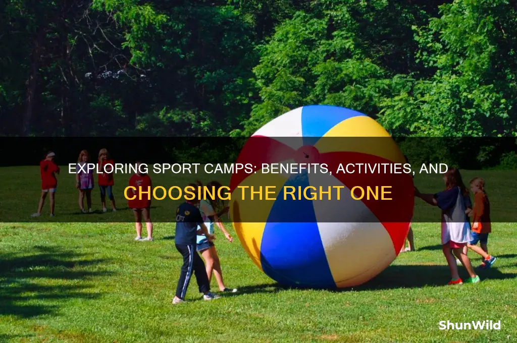 what is a sport camp