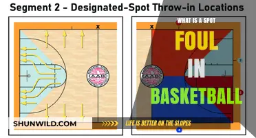 Understanding Spot Fouls in Basketball: Rules, Penalties, and Impact