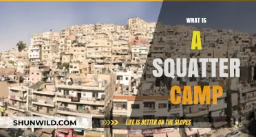 Understanding Squatter Camps: Origins, Challenges, and Community Resilience Explained
