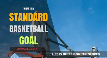 Understanding the Standard Basketball Goal: Height, Rim, and Net Essentials