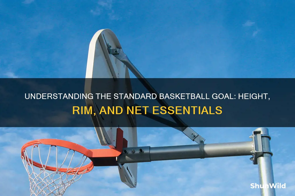 what is a standard basketball goal