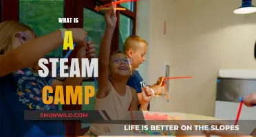 Discover the Fun and Learning at a Steam Camp