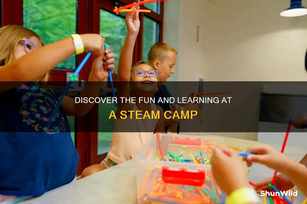 what is a steam camp