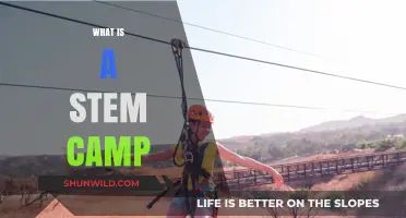 Exploring STEM Camps: Unlocking Science, Tech, Engineering, and Math Adventures