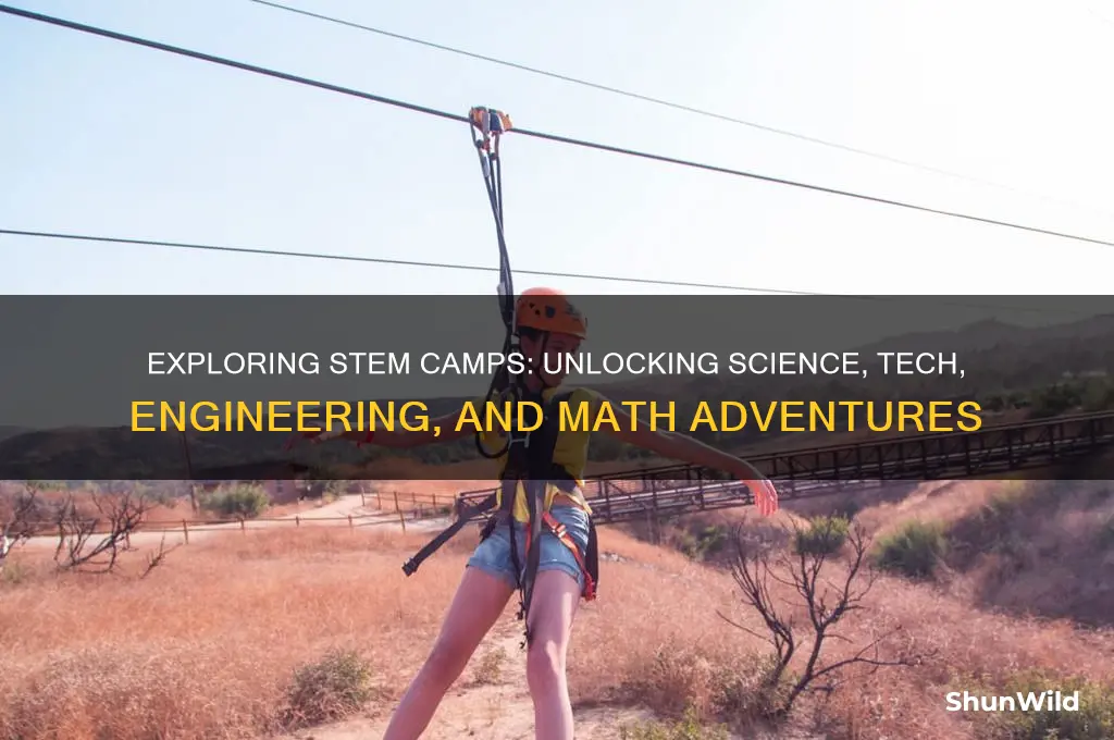 what is a stem camp