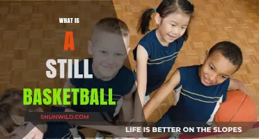 Understanding the Still Basketball: A Comprehensive Guide to Its Uses and Benefits