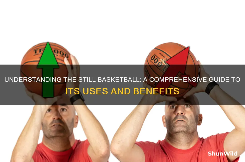 what is a still basketball