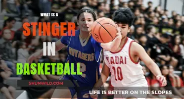Understanding the Stinger: A Quick Guide to Basketball's Sharp Move