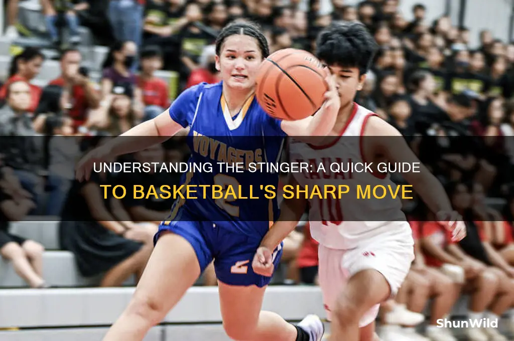 what is a stinger in basketball
