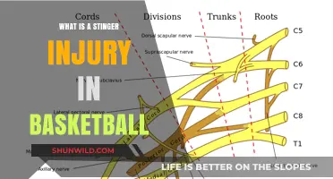 Understanding Stinger Injuries in Basketball: Causes, Symptoms, and Recovery