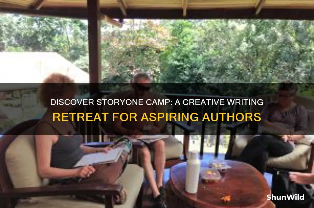 what is a storyone camp