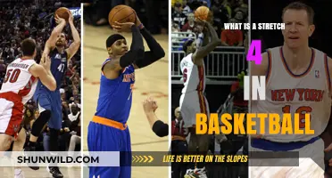 Stretch 4s: Basketball's Hybrid Players