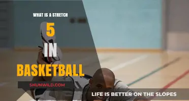Understanding the Stretch 5 Role in Modern Basketball Strategy