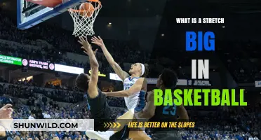 Understanding the Stretch Big Role in Modern Basketball Strategy