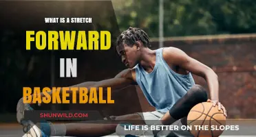 Mastering the Stretch Forward Role in Modern Basketball Strategy