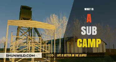 Understanding Sub Camps: Purpose, Structure, and Historical Significance Explained