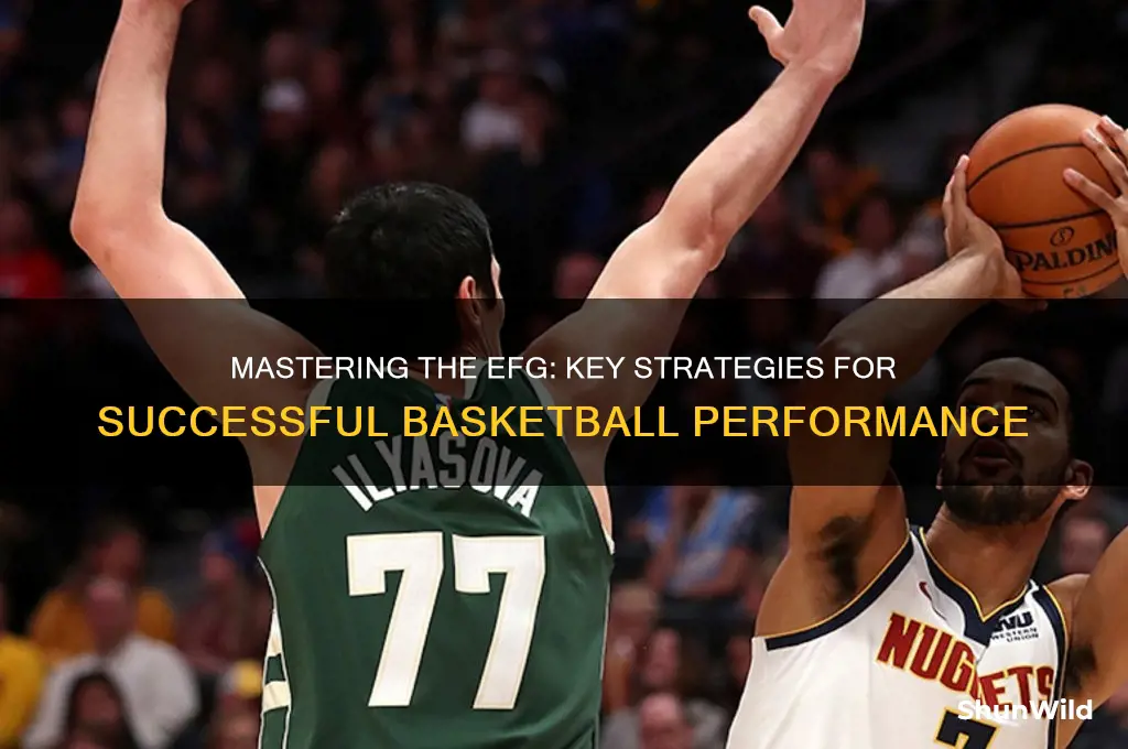 what is a successful efg basketball