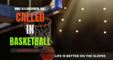 The Art of a Successful Basketball Shot