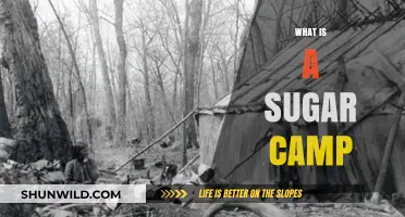 Discover the Sweet Tradition: What is a Sugar Camp?