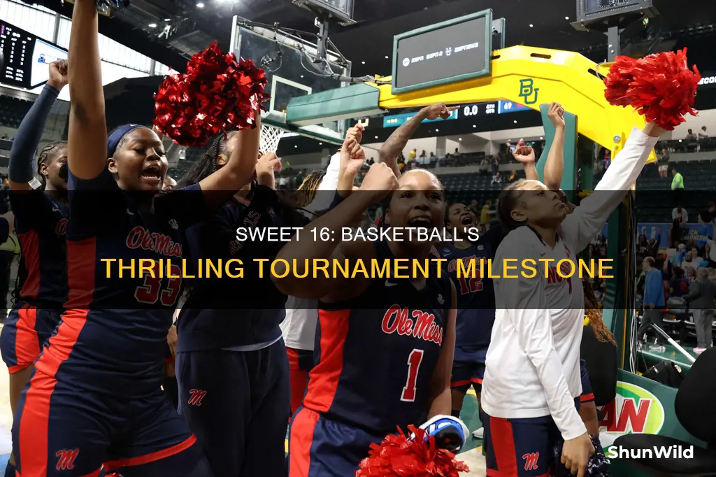 what is a sweet 16 in basketball