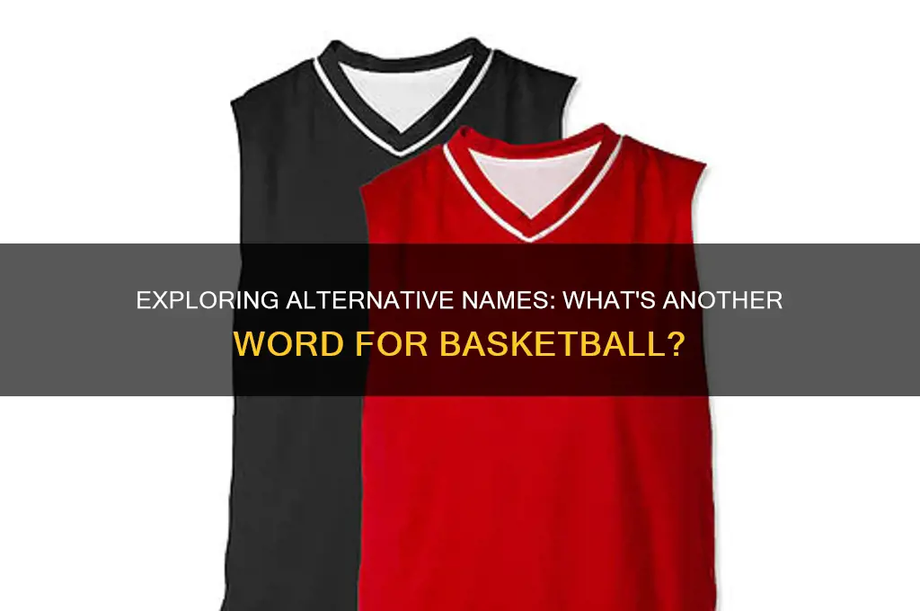 what is a synonym for basketball