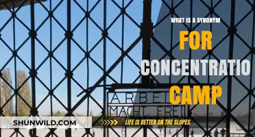 Understanding Concentration Camps: Alternative Terms and Historical Context Explained