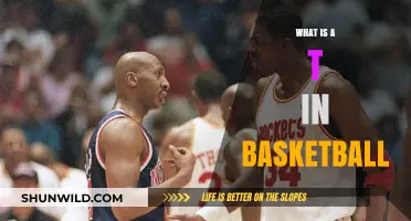 Understanding the T: Technical Fouls Explained in Basketball Basics