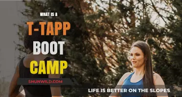 Discover T-Tapp Boot Camp: Transform Your Fitness in Just Weeks