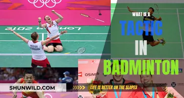 Tactics in Badminton: Strategies for Success
