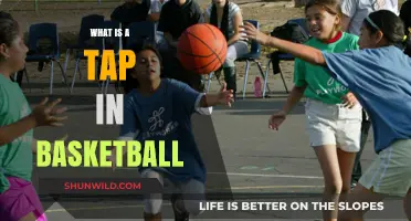 Understanding the Tap in Basketball: Rules, Techniques, and Importance