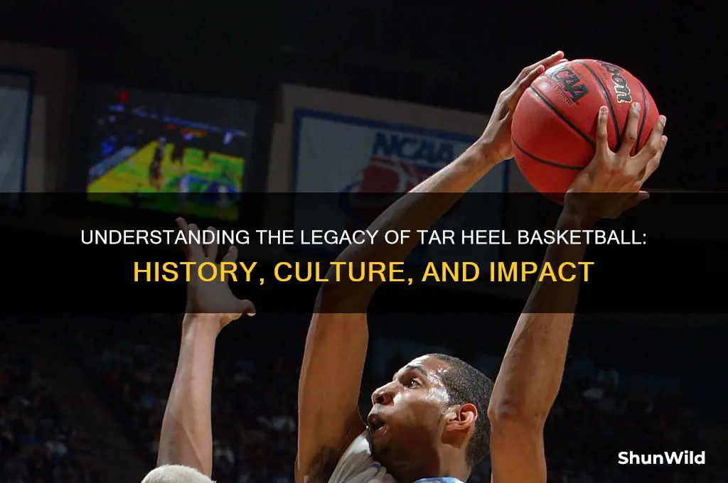 what is a tar heel basketball